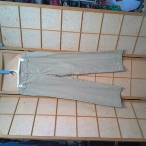 Banana Republic Tan Pants Size 10 Stretch